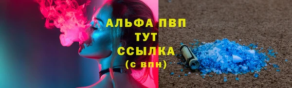 крисы Медногорск