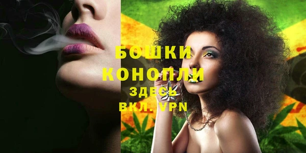 стафф Мегион